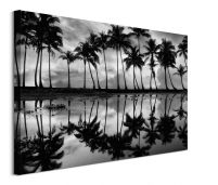 Palm Reflection - obraz na płótnie 80x60 cm