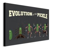 Rick and Morty Evolution Of The Pickle - obraz na płótnie 80x60 cm