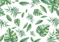 Tropikalne liście - fototapeta 183x254 cm
