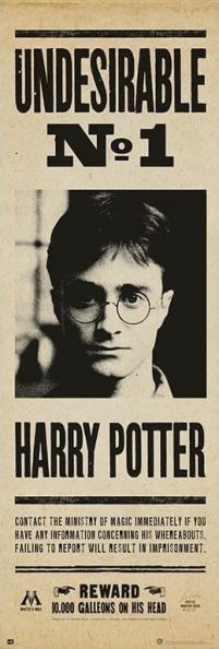 Harry Potter Undesirable - plakat