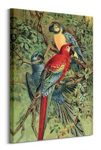 Vintage Parrots - obraz na płótnie