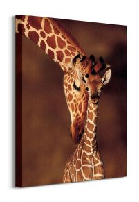 Giraffe - obraz na płótnie