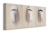 Egyptian Goose Feather Triptych obraz na płótnie