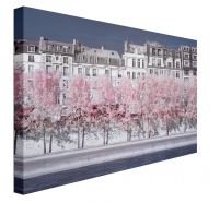 River Seine Infrared - obraz na płótnie