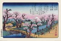 Góra Fuji kwitnące wiśnie i most nad rzeką Japonia artystyczny plakat Hiroshige Ando