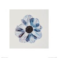 Niebieski Kwiat - reprodukcja