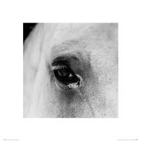 Oko Białego Konia - reprodukcja