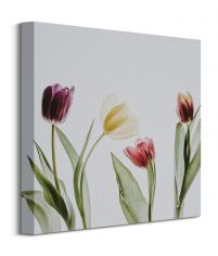 Tulipany - obraz na płótnie