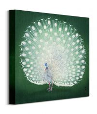 Peacock - obraz na płótnie