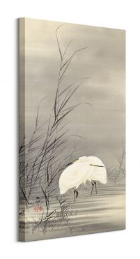 Egrets in a Swamp - obraz na płótnie