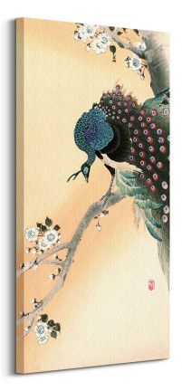 Peacock on a Cherry Blossom Tree - obraz na płótnie