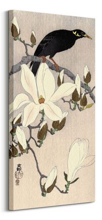 Myna on Magnolia Branch - obraz na płótnie