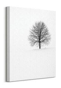 Samotne Drzewo - obraz na płótnie