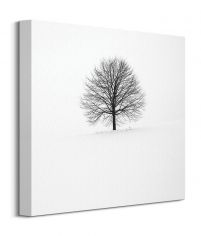 Samotne Drzewo - obraz na płótnie