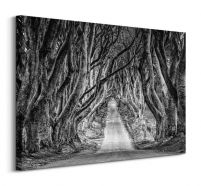 Droga przez las - obraz na płótnie