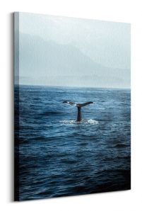 Ogon Wieloryba - obraz na płótnie