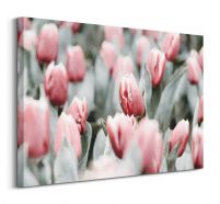 Różowe tulipany - obraz na płótnie