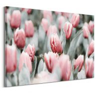 Obraz na płótnie Różowe tulipany