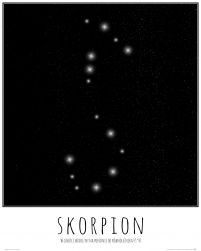 Skorpion konstelacja gwiazd z opisem - plakat