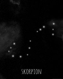 Skorpion konstelacja gwiazd - plakat