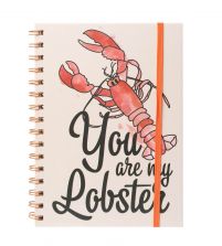 Friends You are my Lobster - notes A5