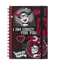 Harley Quinn I Am Crazy For You - notes A5