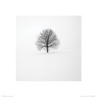 Samotne Drzewo - reprodukcja