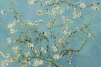 Almond Blossom - plakat