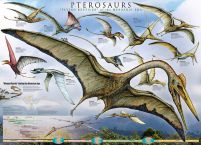 Pterozaury - plakat