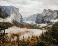 Yosemite Valley - plakat