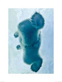 Niedźwiedź na lodzie - reprodukcja