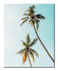 Palmy w Słońcu - obraz na płótnie