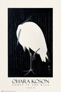 Egret In The Rain - plakat