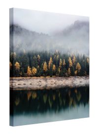 Mglista jesień - obraz na płótnie