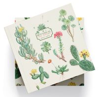 Botanical Cacti - album na 22 zdjęcia 16x16 cm