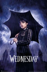 Wednesday Umbrella - plakat