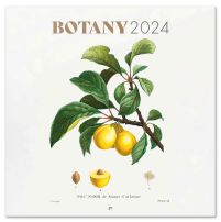 Botany - kalendarz 2024