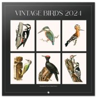 Vintage Birds - kalendarz 2024