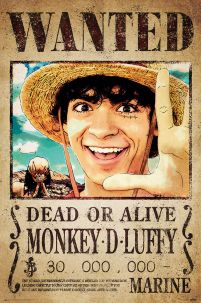 One Piece Wanted Monkey D. Luffy - plakat