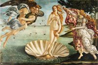 The Birth Of Venus - plakat