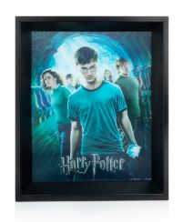 Harry Potter Order Of The Phoenix - plakat 3D w ramie