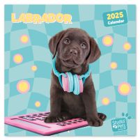 Studio Pets Labrador - kalendarz 2025