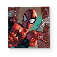 Canvas Spider-Man Web Sling Close Up