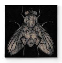 Fly - Obraz na płótnie
