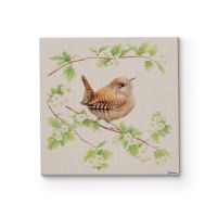 Jenny Wren Obraz na płótnie