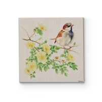 Sparky the Sparrow Obraz na płótnie