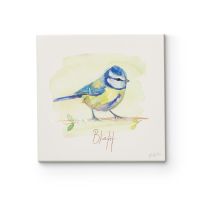 Modraszka - obraz na płótnie