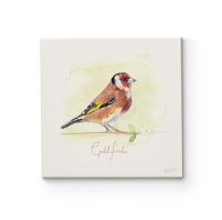 Szczygieł - obraz na płótnie