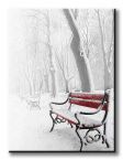 obraz na płótnie z zaśnieżoną ławką w parku