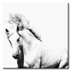 Mały canvas z pięknym białym koniem